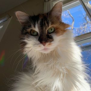 Meet your Posher, Patricia